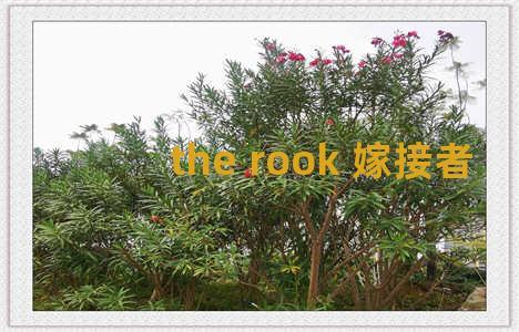 the rook 嫁接者